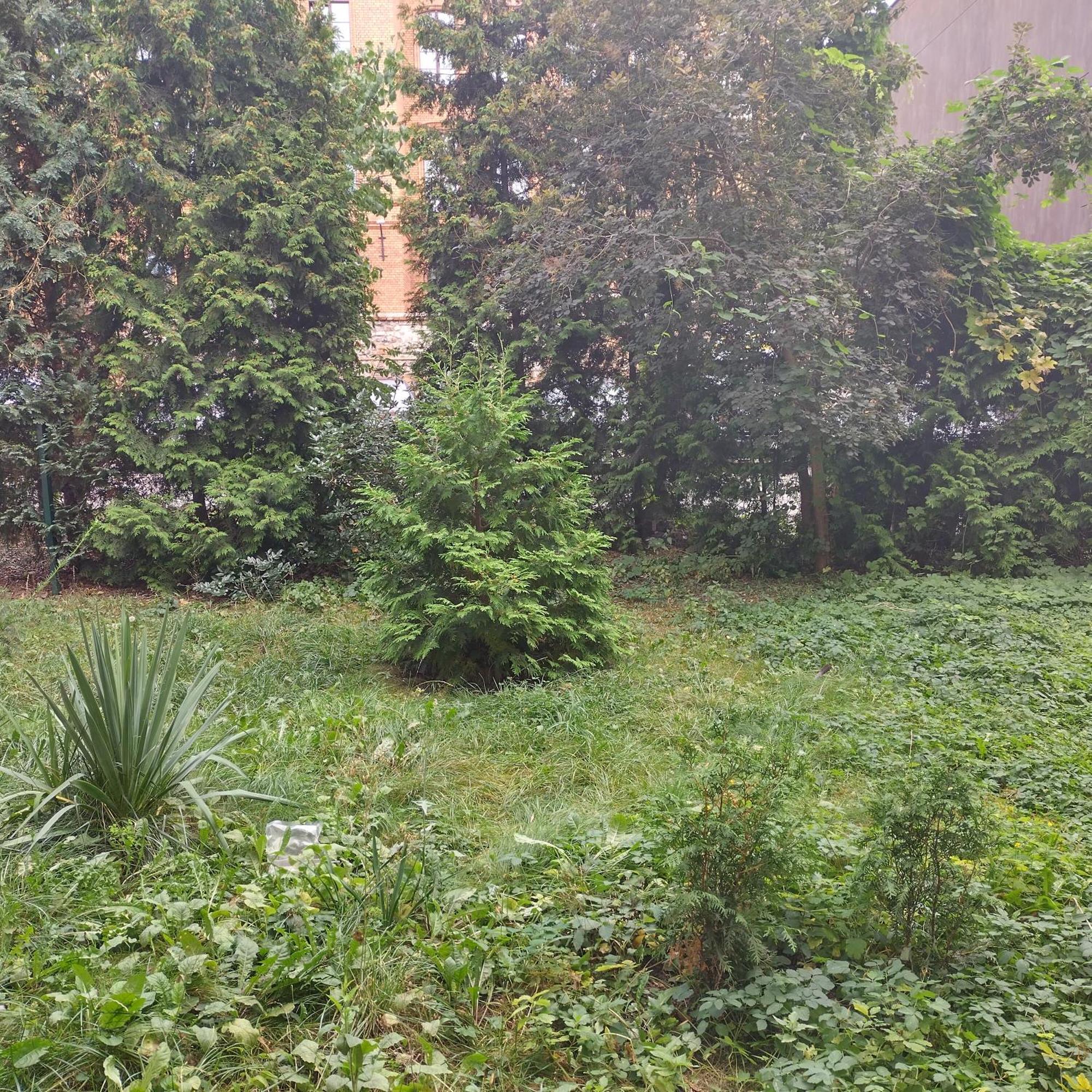 Apartament Przedzamcze Torun Ngoại thất bức ảnh
